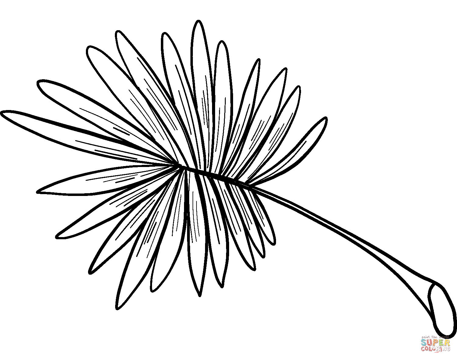 Palm leaf coloring page free printable coloring pages