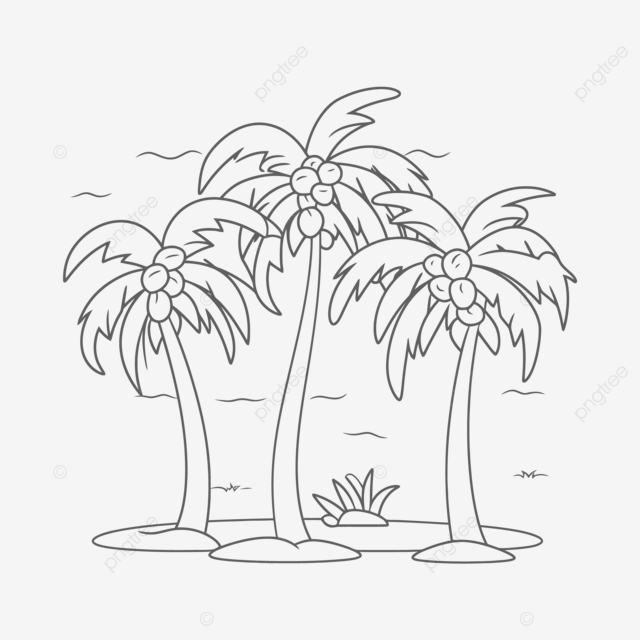 Coloring page to color in drawing of palm trees outline sketch vector palm tree drawing tree drawing wing drawing png and vector with transparent background for free download