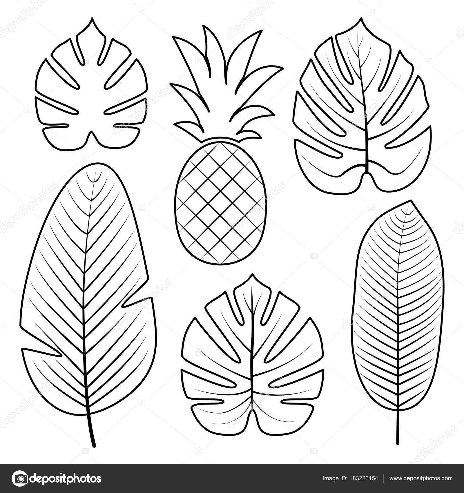 Tropical leaves collection vector illustration stock vector by createrosalia