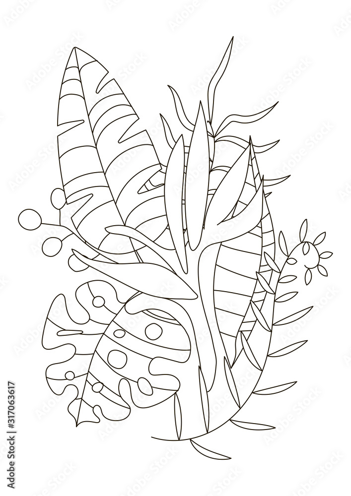 Hand drawing coloring pages for children and adults linear style coloring book for creative creativity antistress coloring book with tropical flowers protea orchid monstera palm trending tropic vector