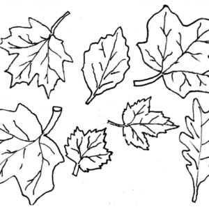 Palm leaf coloring pages printable for free download