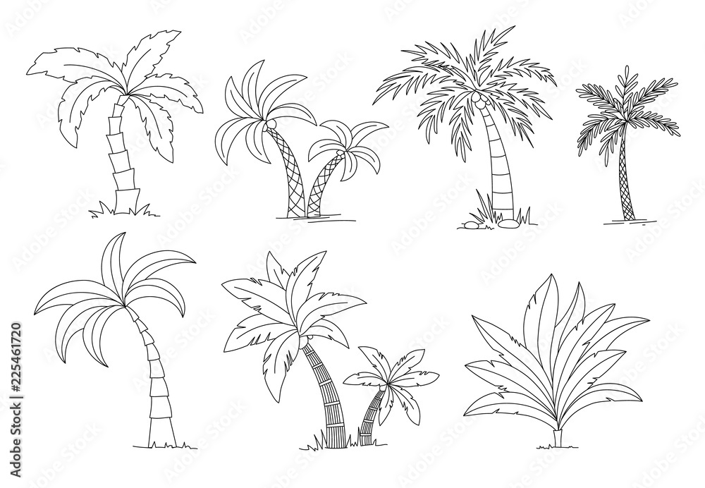 Palm trees coloring book beautiful vectro palma tree set vector illustration vector