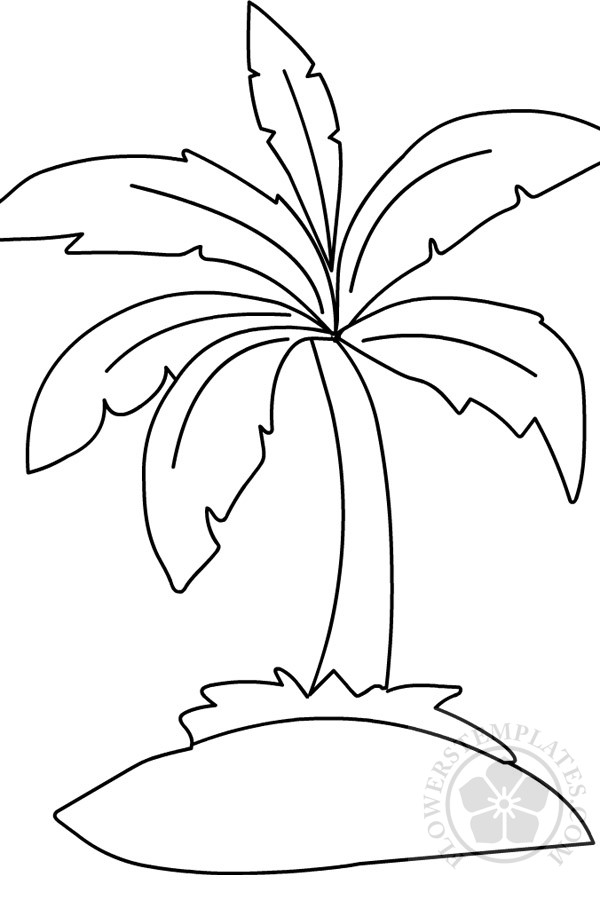 Palm tree coloring page