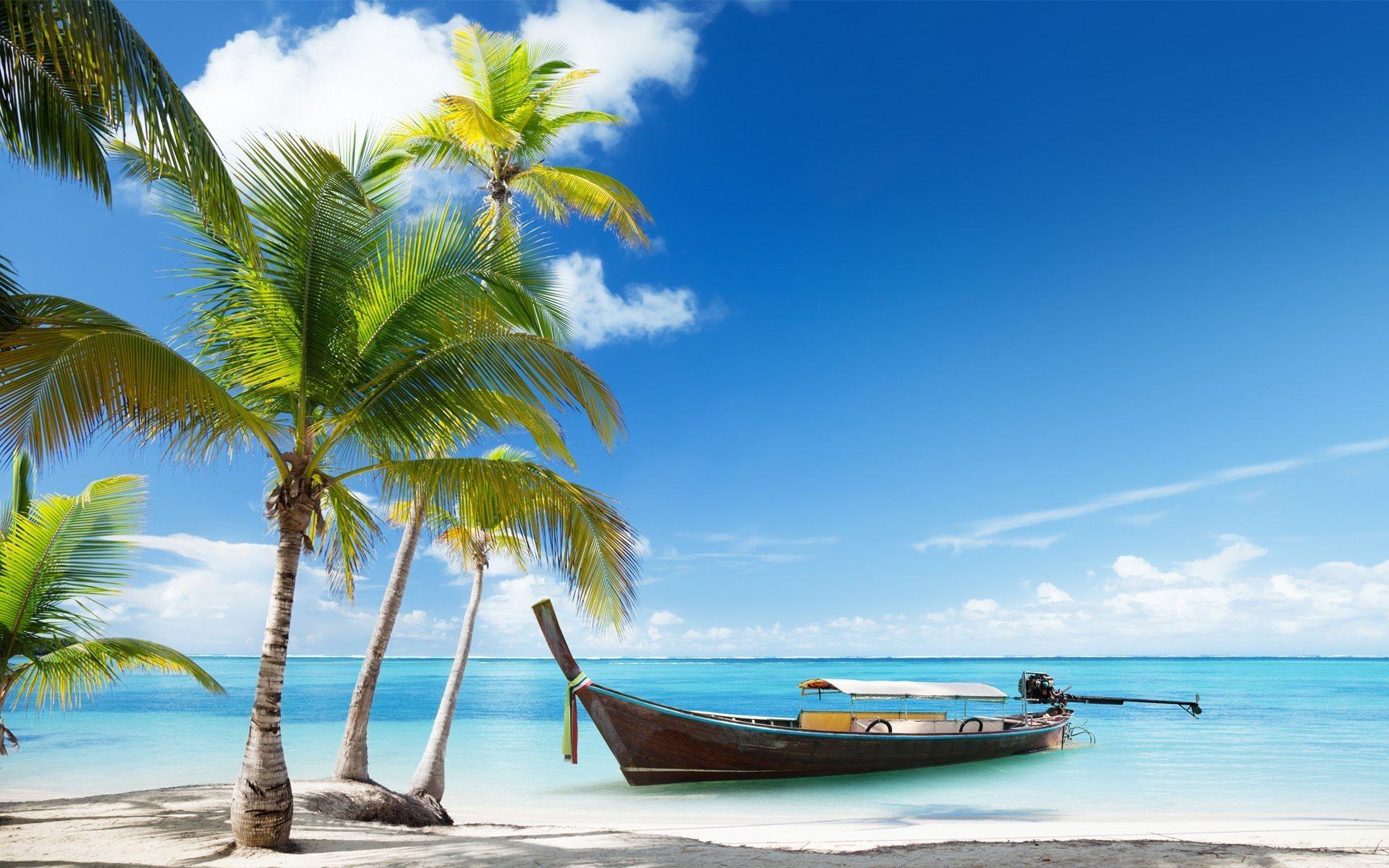 Download Free 100 + palm tree island Wallpapers