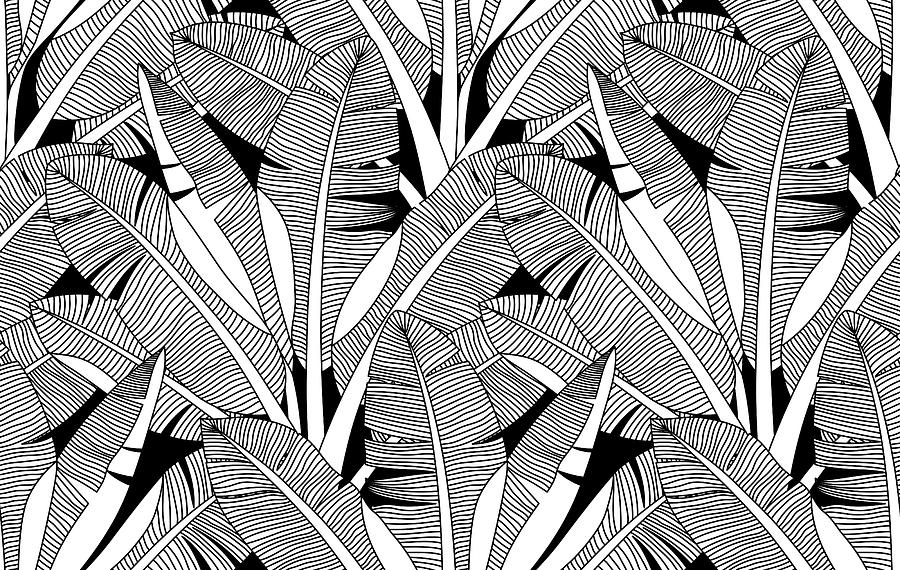 Black and white exotic plant and palm tree botanical illustration bananas tree seamless pattern tropical plants and trees adult colouring zentangle book page drawing by julien