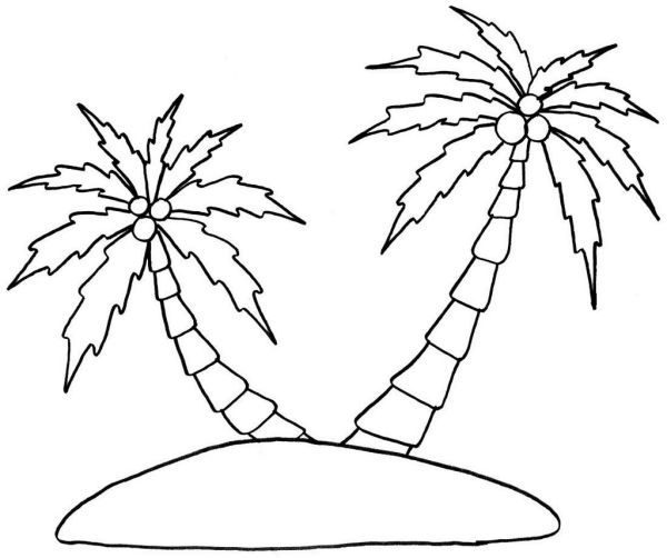 Palm tree coloring pages pdf for kids