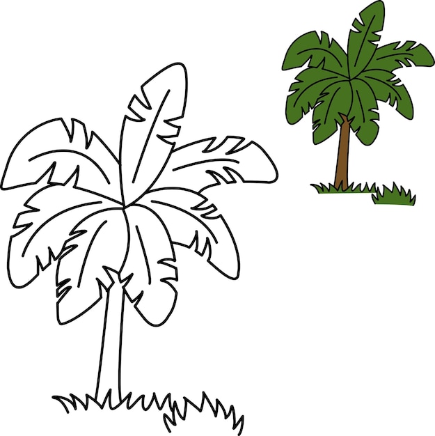 Premium vector sketch of a tropical palm tree with green leaves for a kids coloring book