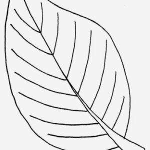 Palm leaf coloring pages printable for free download