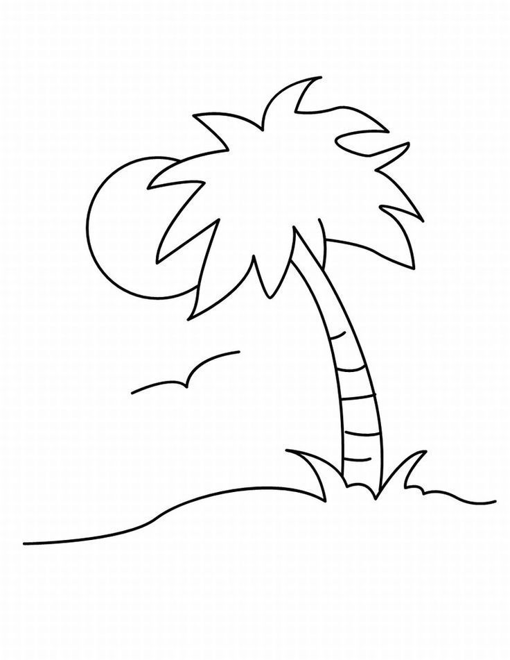 Palm tree leaves coloring pages tree coloring page animal coloring pages coloring pages