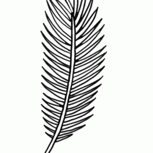 Palm leaf coloring pages printable for free download