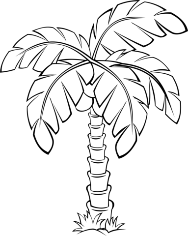 Palm tree outline coloring page free printable coloring pages