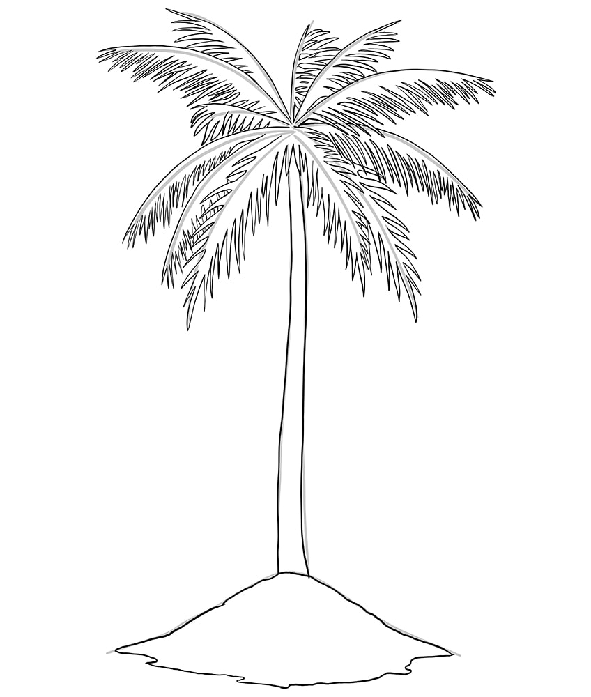 How to draw a palm tree