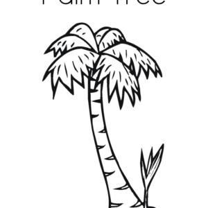 Palm tree coloring pages printable for free download