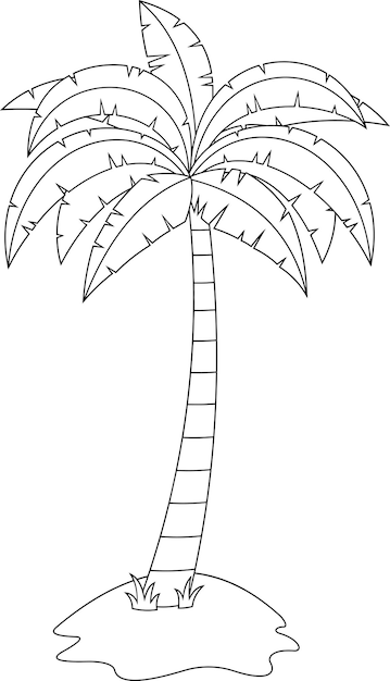 Palm tree coloring images