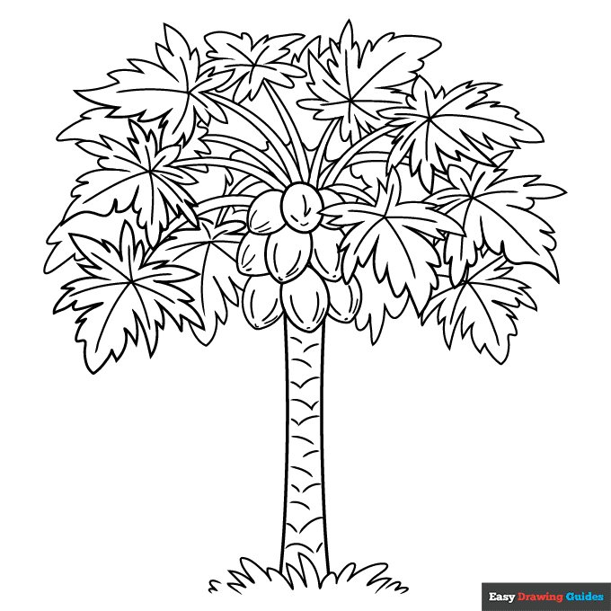 Papaya tree coloring page easy drawing guides