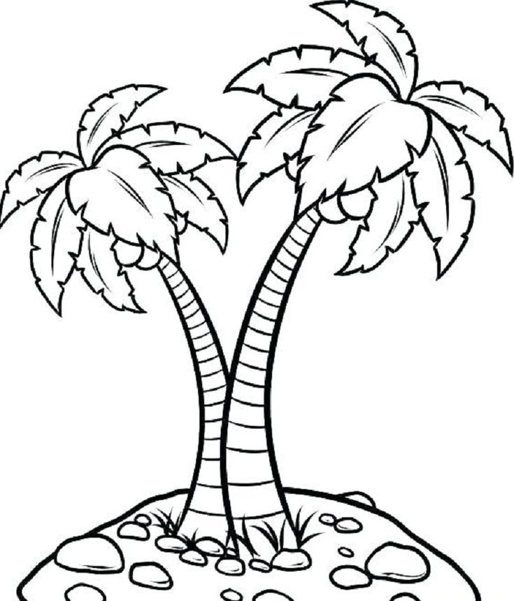 Palm tree coloring pages disegni da colorare con animali disegni di alberi disegni da colorare