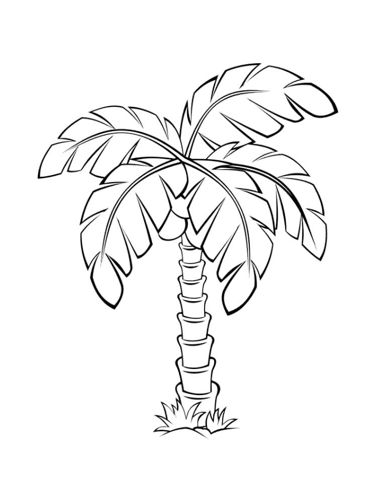 Palm tree coloring pages