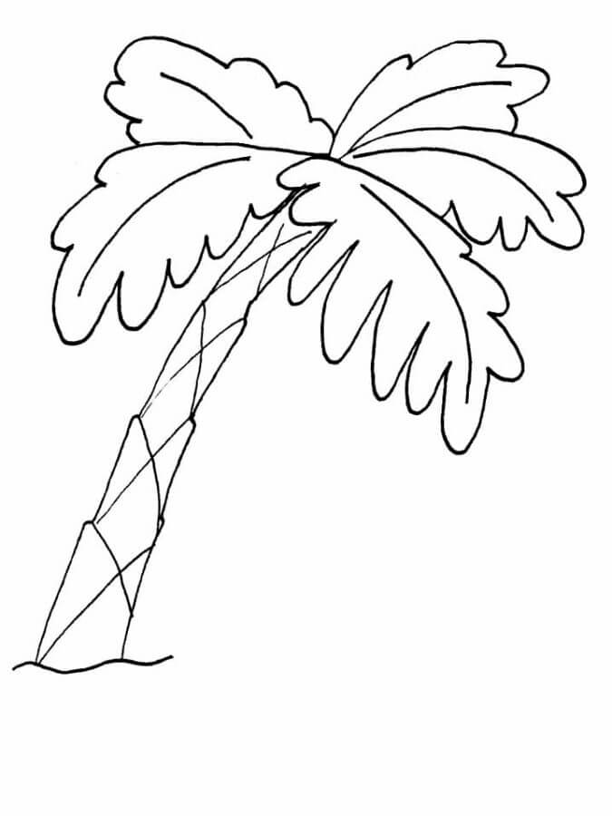 Basic coconut tree coloring page