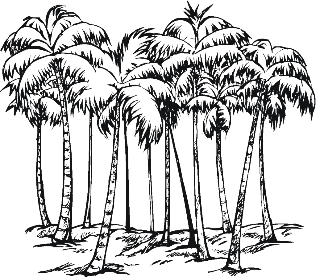 Palm tree coloring pages