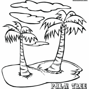 Palm tree coloring pages printable for free download