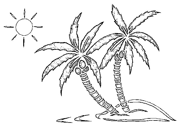 Coloring page beach palm trees