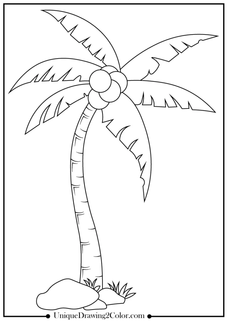 Palm tree coloring pages