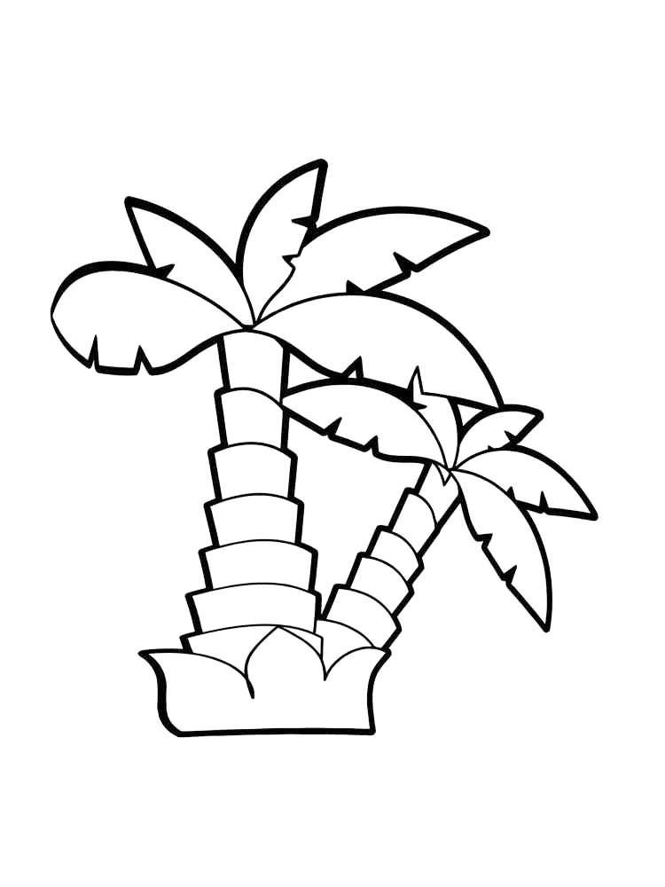 Palm tree coloring pages