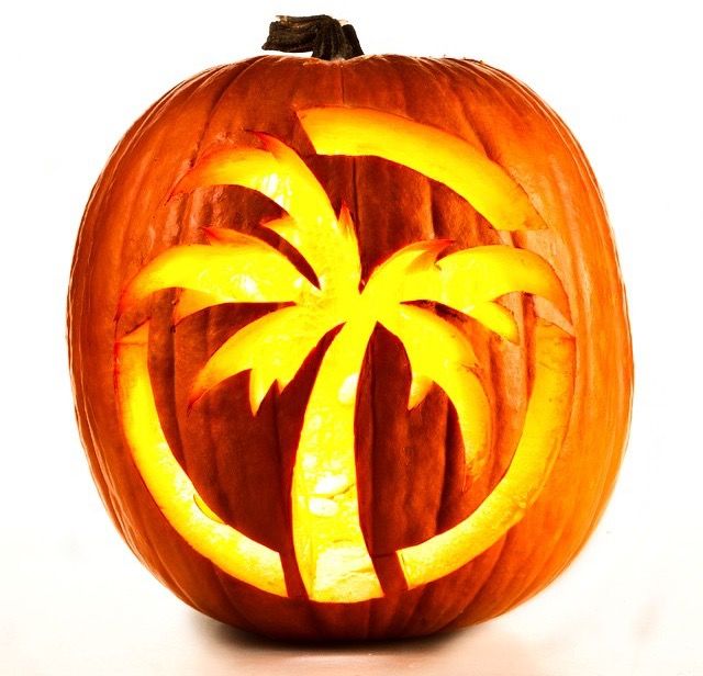 Awesome halloween palm tree pumpkin carving idea pumpkin carving halloween pumpkin carving stencils disney pumpkin carving