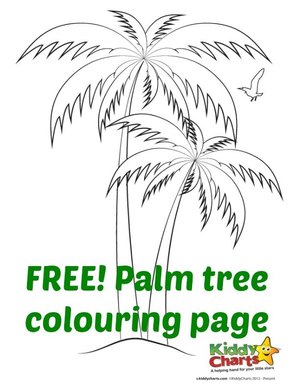 Palm tree colouring sheet