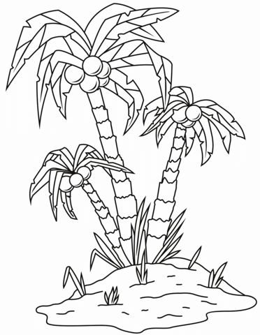 Palm tree coloring page free printable coloring pages