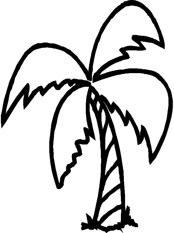 Coloring pages palm tree nature â printable coloring pages