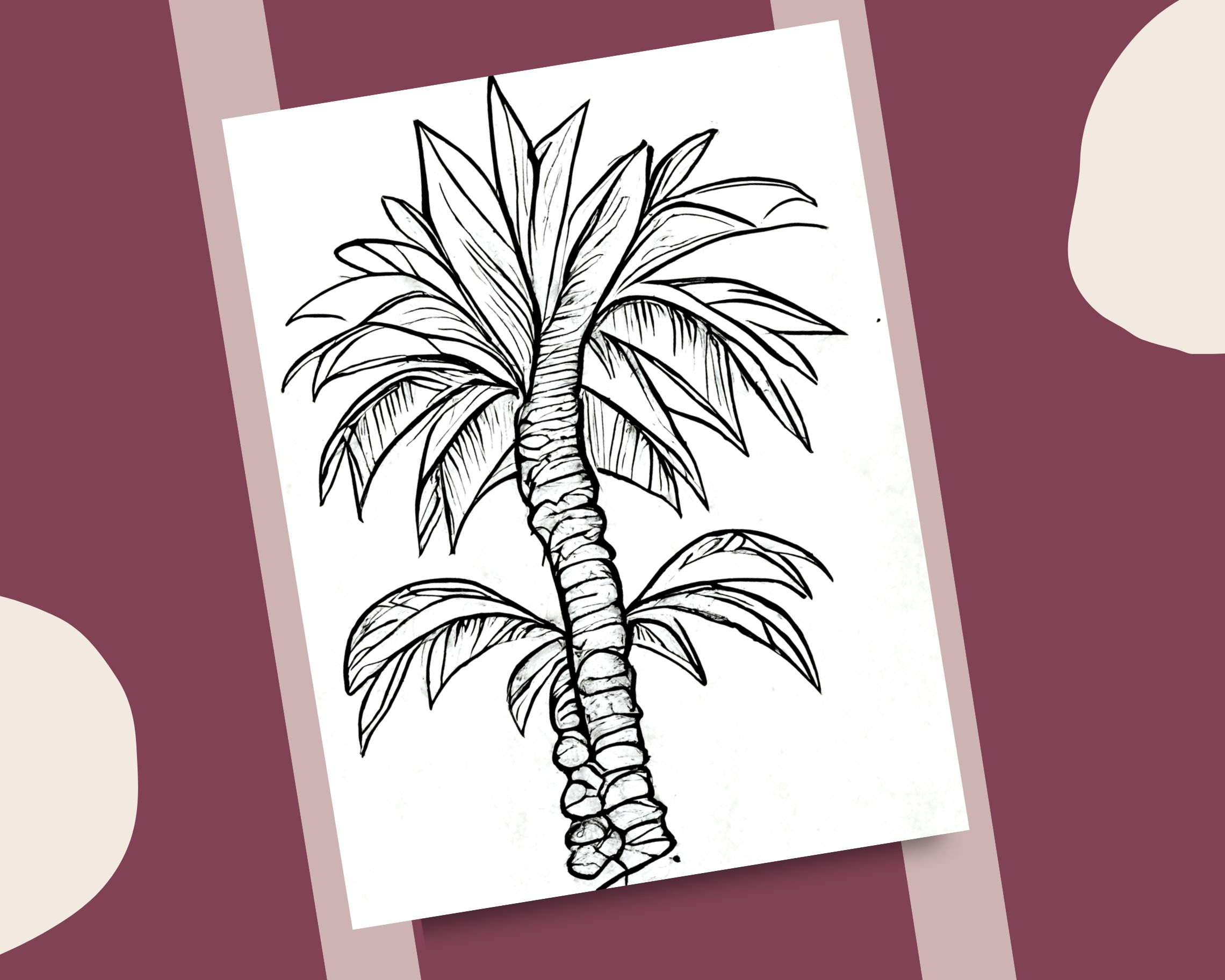 Palms coloring pages palm tree coloring book printable