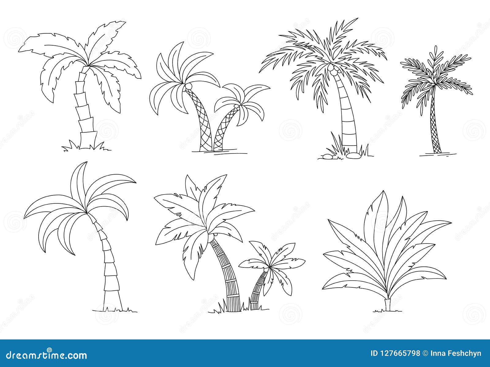 Palm trees coloring book beautiful vectro palma tree set vector illustration stock vector