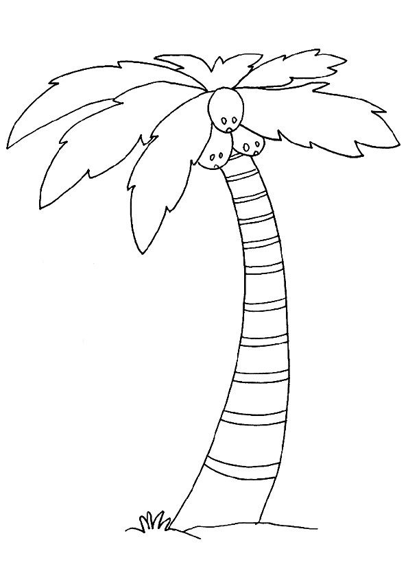 Coloring page palm tree crafts tree coloring page palm tree drawing