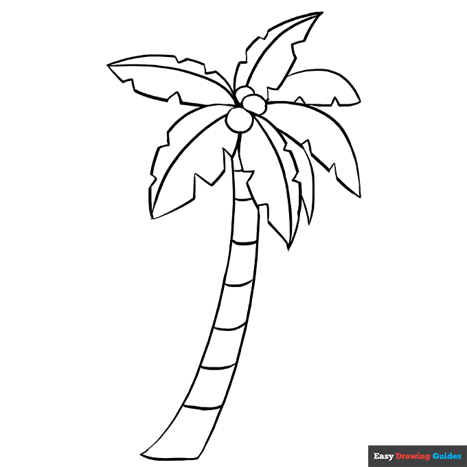 Palm tree coloring page easy drawing guides