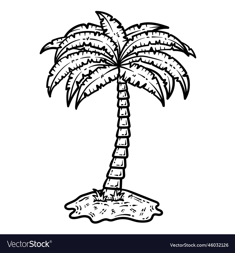 Summer palm tree line art coloring page for adult vector image