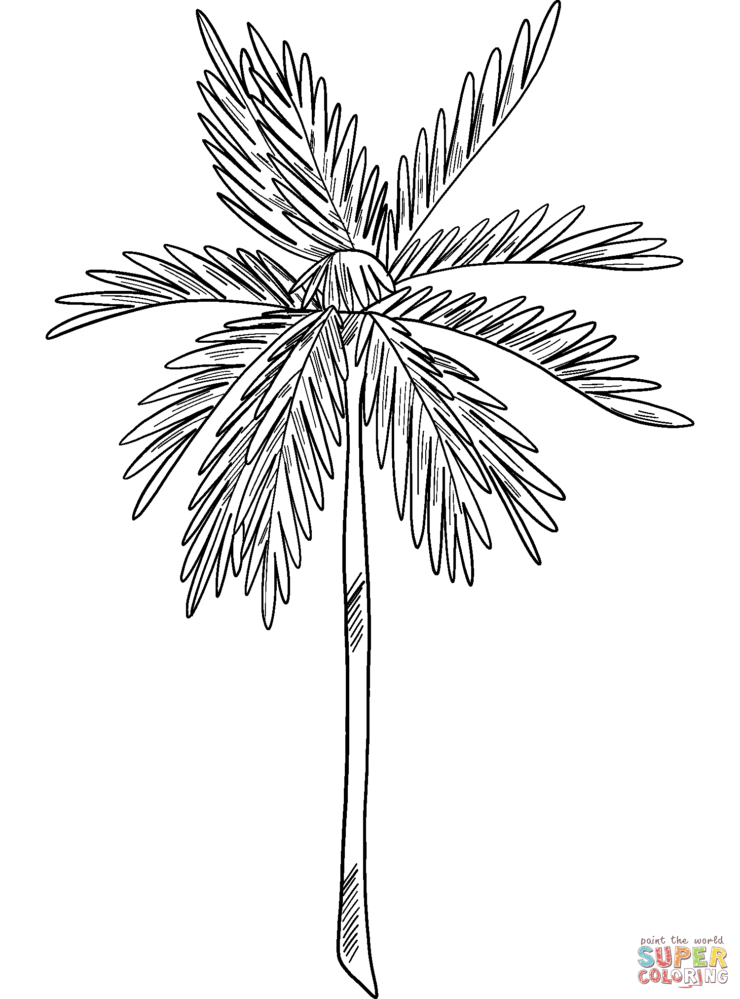 Palm tree coloring page free printable coloring pages