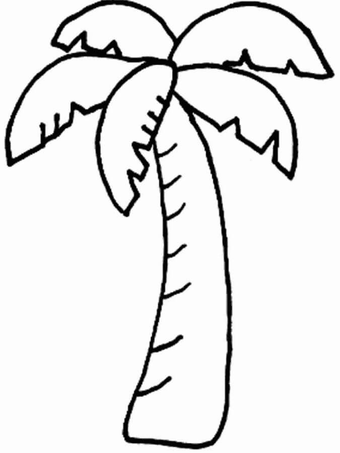 Tropical tree drawing coloring page