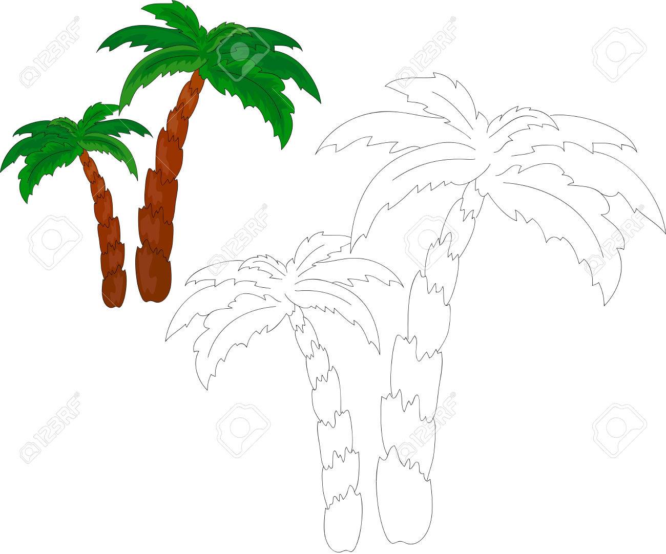 Palm trees coloring book vector illustration royalty free svg cliparts vectors and stock illustration image