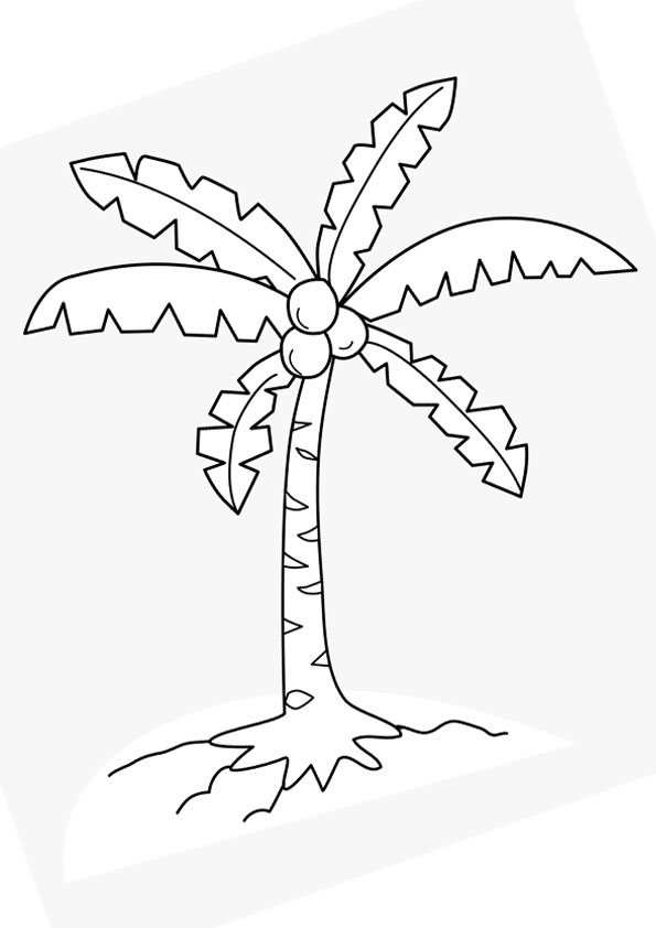 Coloring pages coconut tree coloring pages for kids