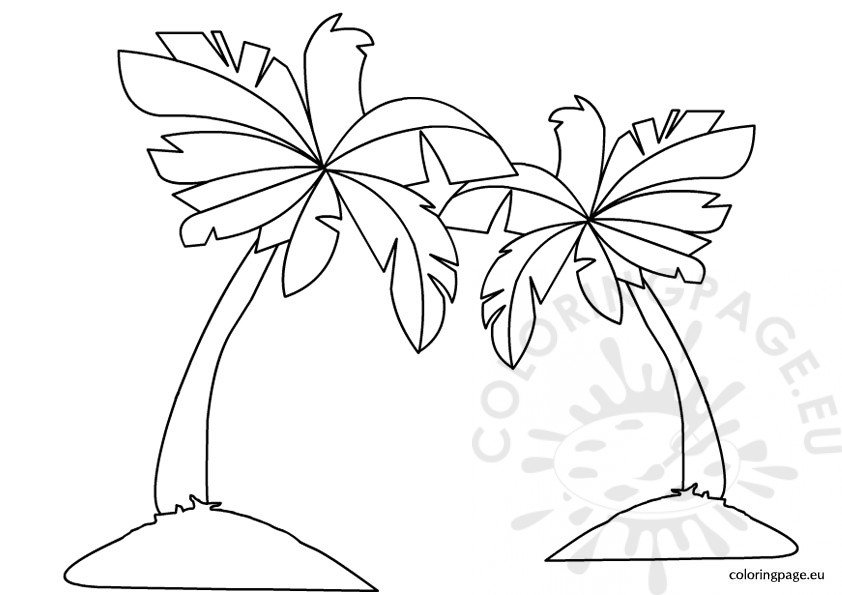 Palm trees coloring coloring page