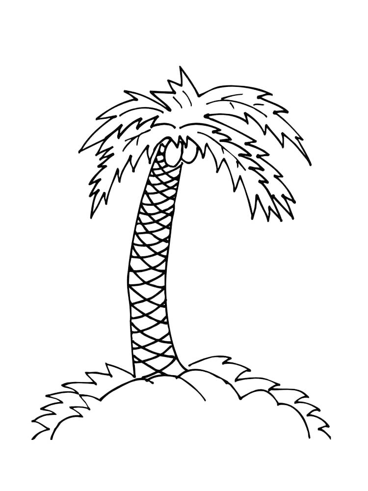 Palm tree coloring pages