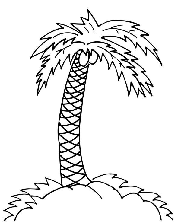 Palm tree coloring pages pdf for kids