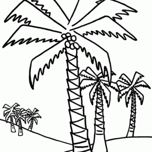 Palm tree coloring pages printable for free download