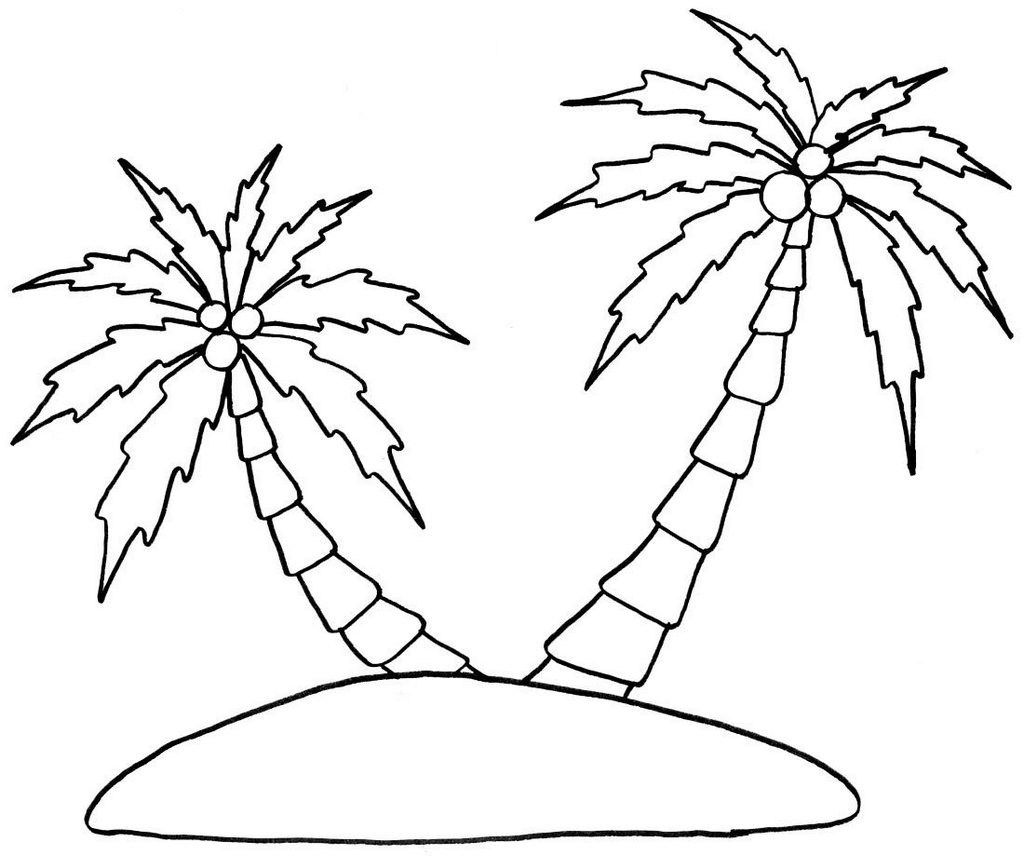 Palm tree coloring pages printable tree coloring page leaf coloring page coloring pages