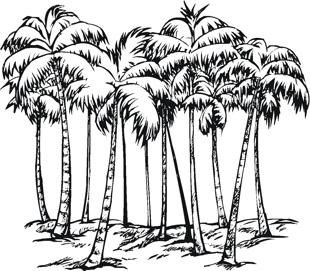 Coloring page palm tree nature â printable coloring pages