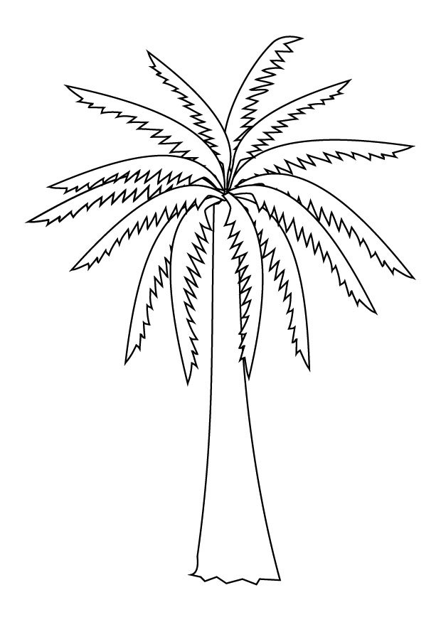 Coloring page palm tree nature â printable coloring pages