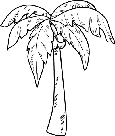 Palm tree coloring page free printable coloring pages