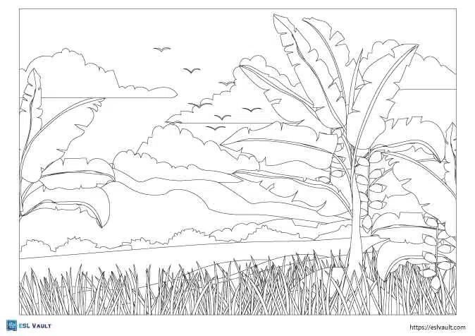 Palm tree coloring pages