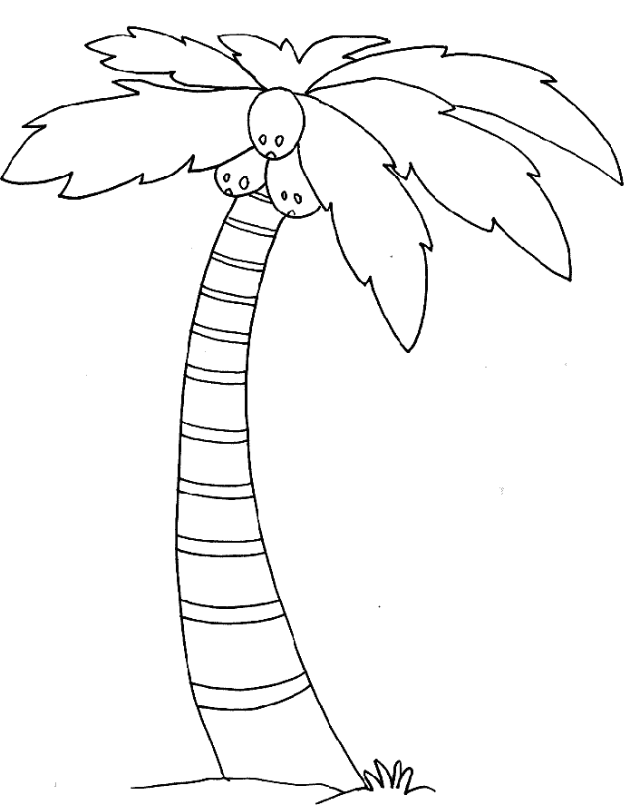 Palm tree coloring pages printable for free download